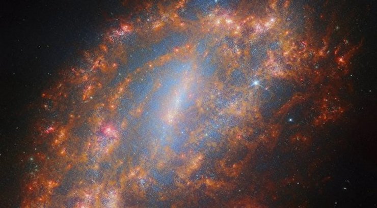 галактика NGC 1559