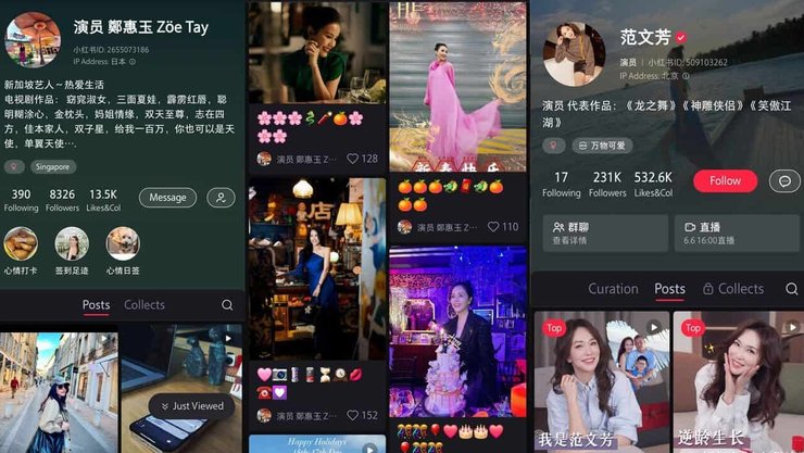 цитатник мао, RedNote