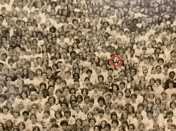 Визуальная головоломка, тест, задача, проверка зрения, проверка внимательности, зрительная память, проверить IQ, панда среди людей