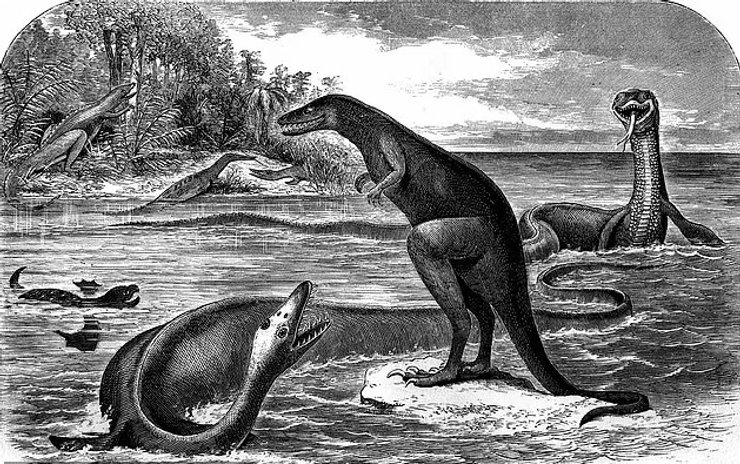 эласмозавр