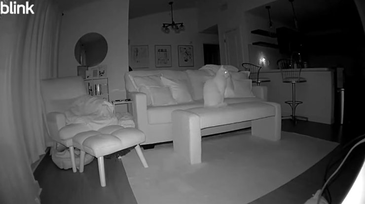 кіт будинок