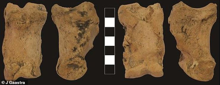 археологія, історія, дослідження, стоунхендж, розкопки