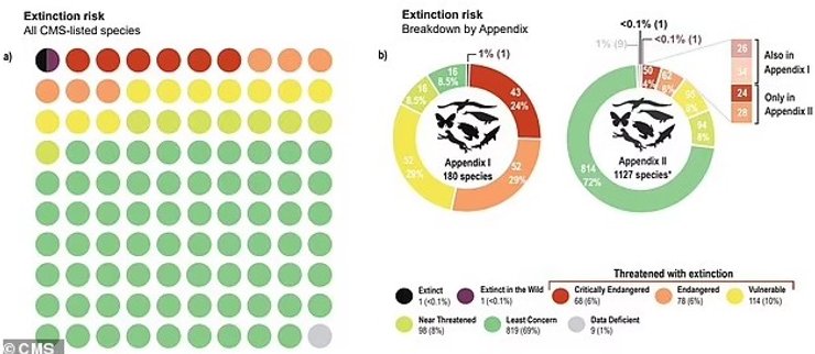 мигрирующие виды вымирание