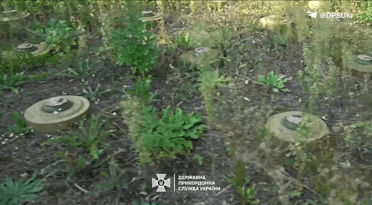 Мины на границе с Беларусью