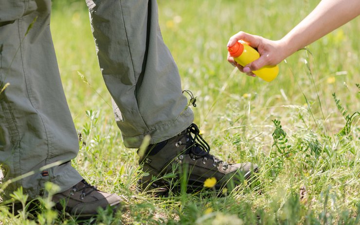 фото, спрей против насекомых, Как собрать туристический рюкзак в поход