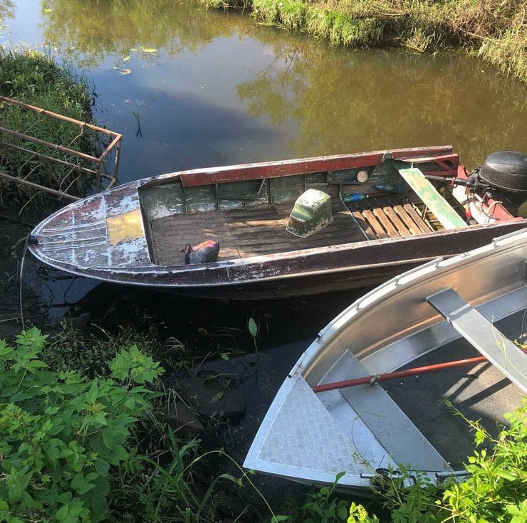 лодки, браконьеры, киевская область, фото