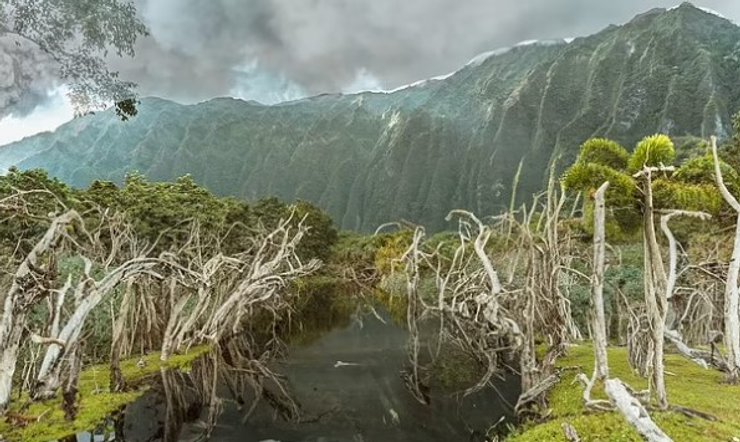 гаваї клімат майбутнє