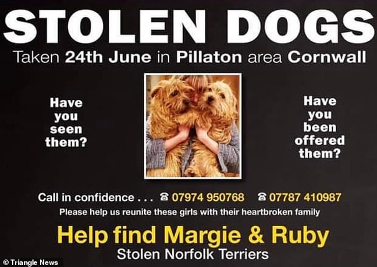 объявление