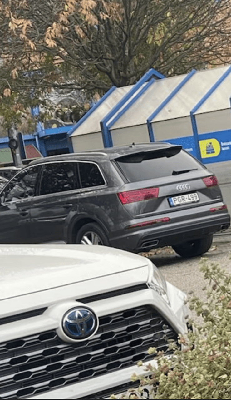 Нестор Шуфрич, автомобиль, Будапешт, фото