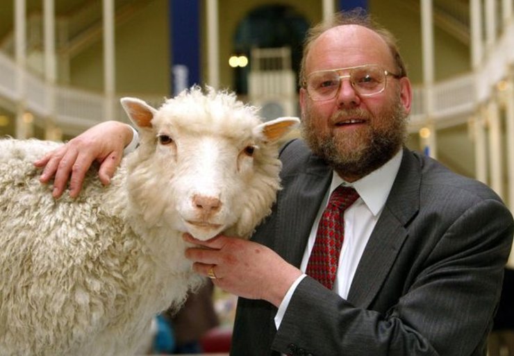 овечка Доллі, генна інженерія, клонування, ДНК