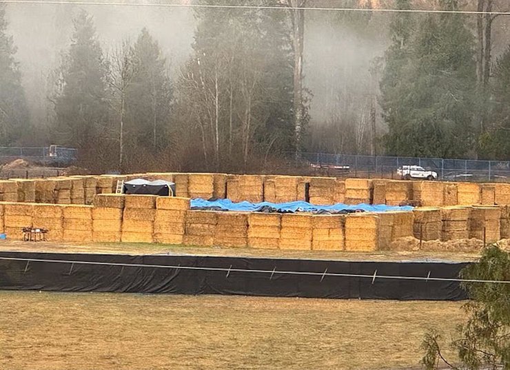 Масовий розстріл «здорових» страусів викликав хвилю обурення: загинули сотні птахів