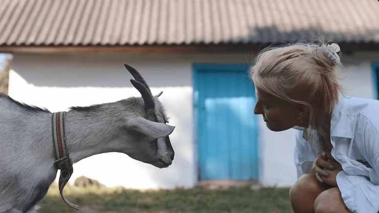 Анжелика и ее коза