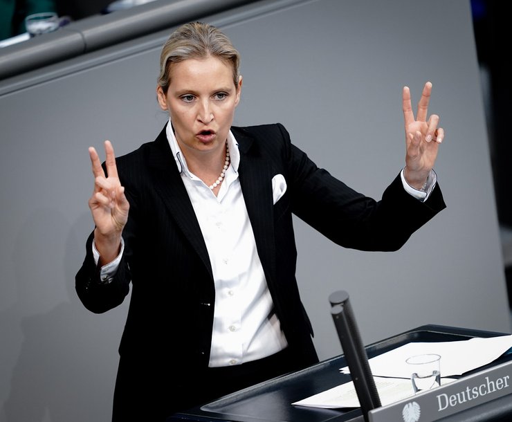 Альтернатива для Германии, Алиса Вайдель, Бундестаг, выборы в Германии