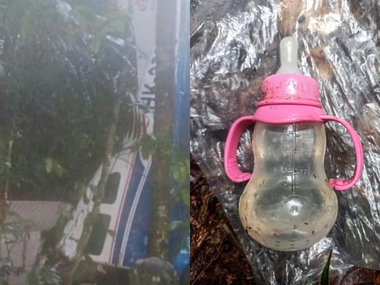 Авиакатастрофа, самолет, джунгли, детская бутылочка, дети в джурглях, спасательная операция,