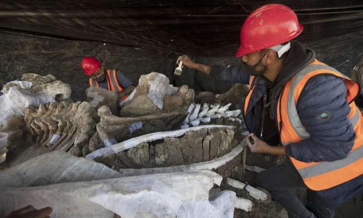 мамонты, Мехико