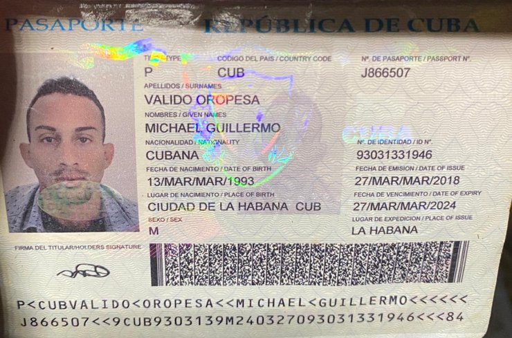 Микаэль Валидо