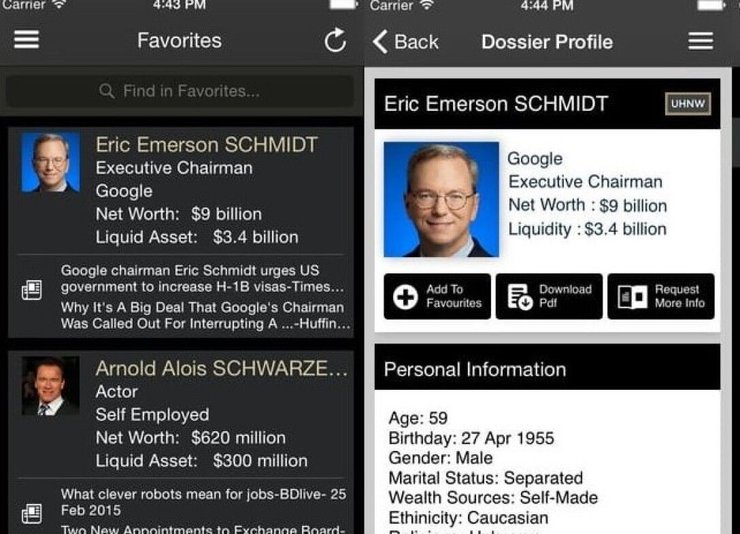 база данных, богатство, Wealth-X, инфографика