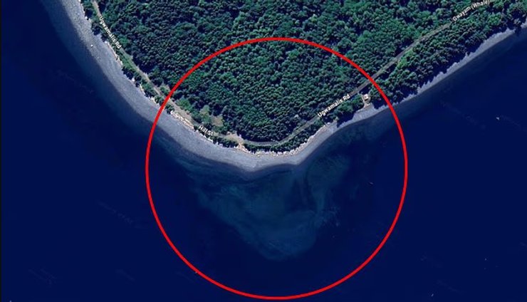 Пользователи Интернета увидели контуры черепа