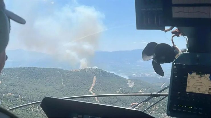 Пожар в лесу в Турции