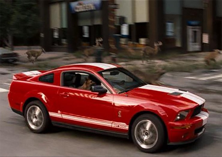 Форд, Я Легенда