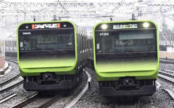 Змія у вагоні, Японія, курйози, пасажири, рептилія, тварини, курйозні інциденти, туризм, приколи