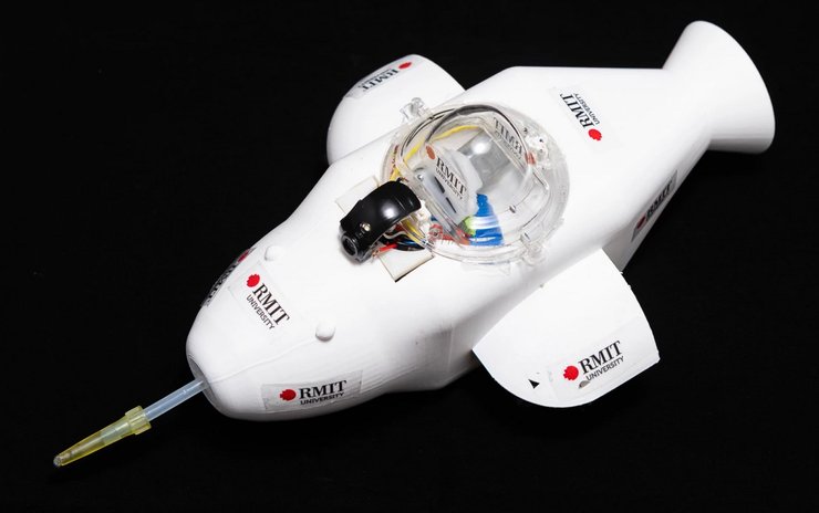 робот-дельфин