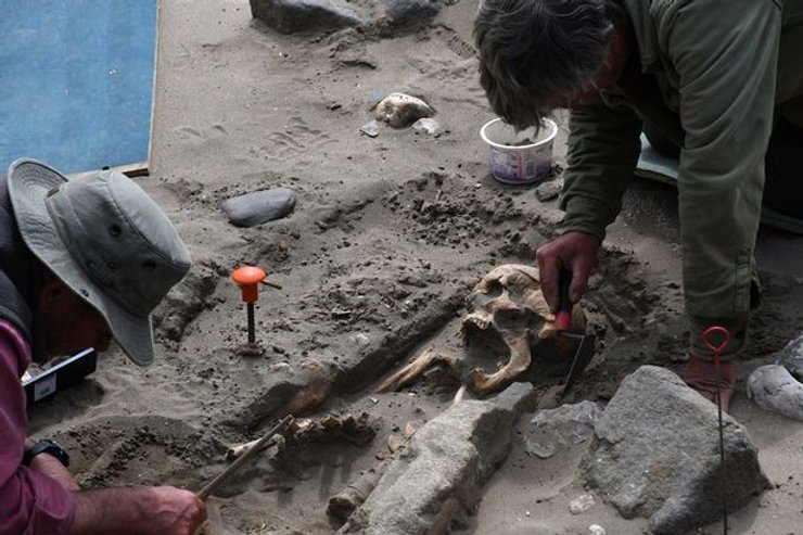 череп, скелет, люди, фото