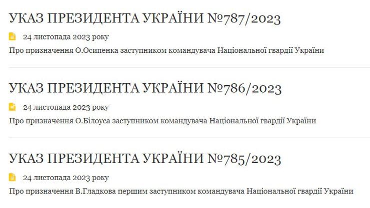 Владимир Зеленский назначил заместителей командующего НГУ