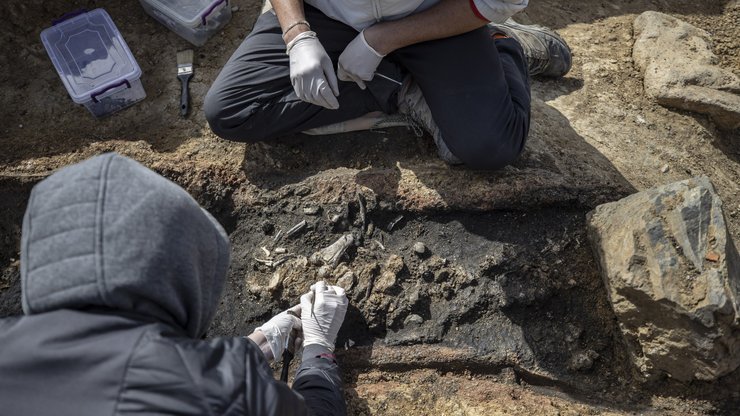ученые, раскопки, гробница, фото