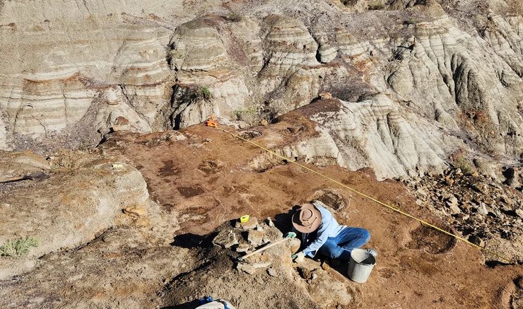 окаменелые следы динозавров