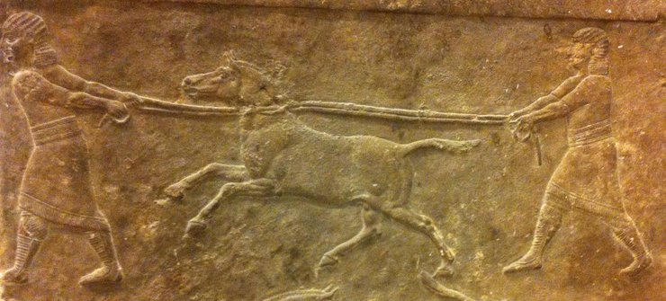 кунга, люди, скельне зображення