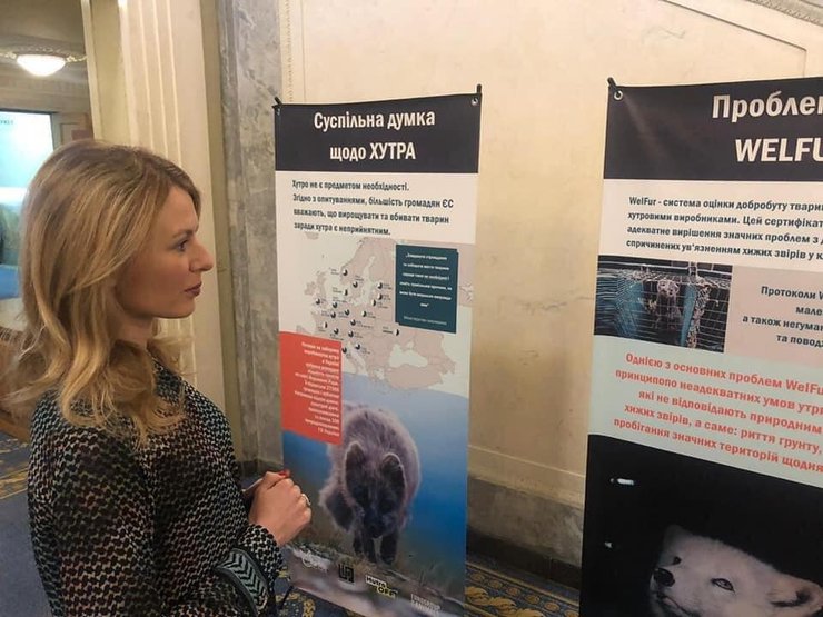 зоозащитники