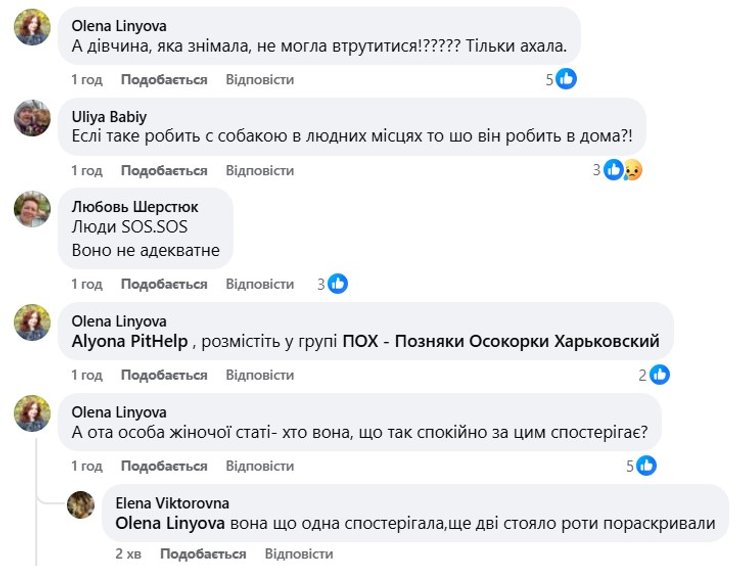 Побиття собаки, знущання з тварини, 11 грудня, Київ, Позняки, коментарі