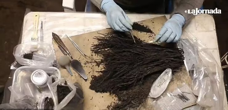 пирамида, Мексика, букет, цветы