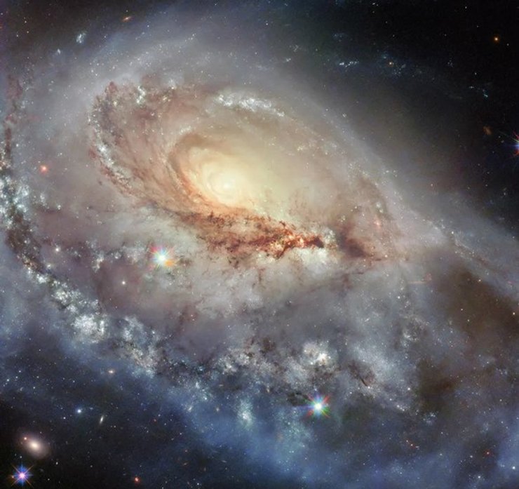 галактика NGC 1961