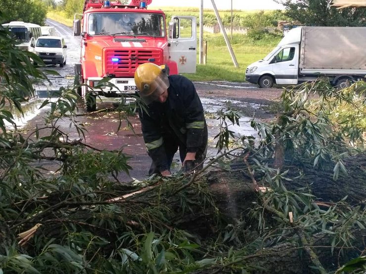 Ликвидация непогоды в Горохове