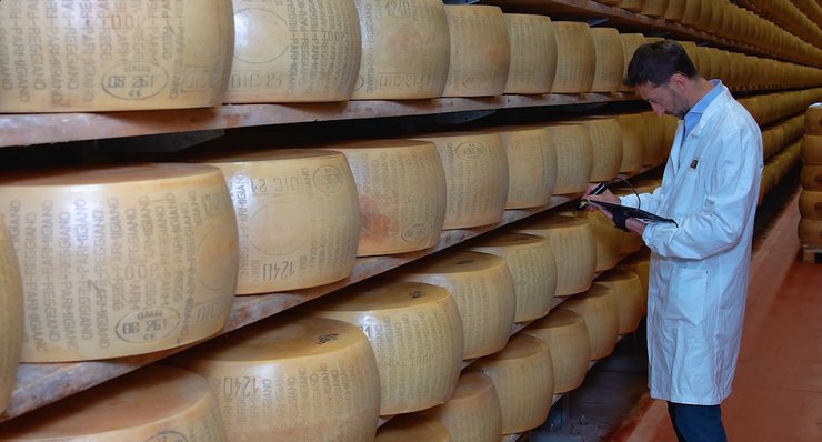 сыр, пармезан, чип, чипирование