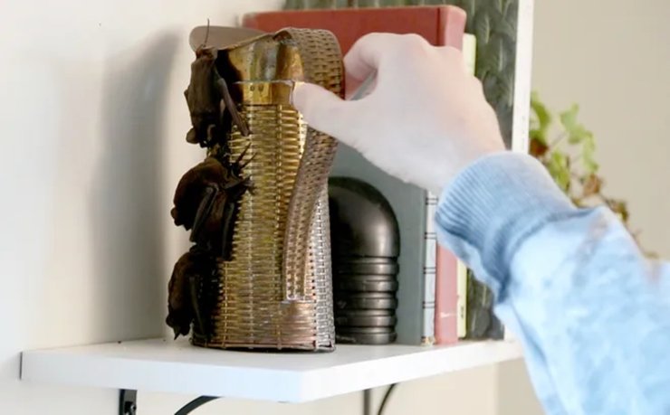 Нашествие летучих мышей в доме, новый дом, новое жилье, аренда жилья, летучие мыши, с домом что-то не так, переезд, семья с детьми