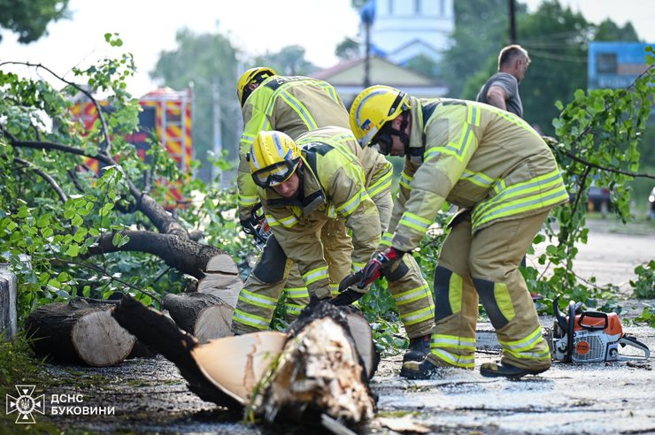 ГСЧС устраняет последствия непогоды на западе Украины