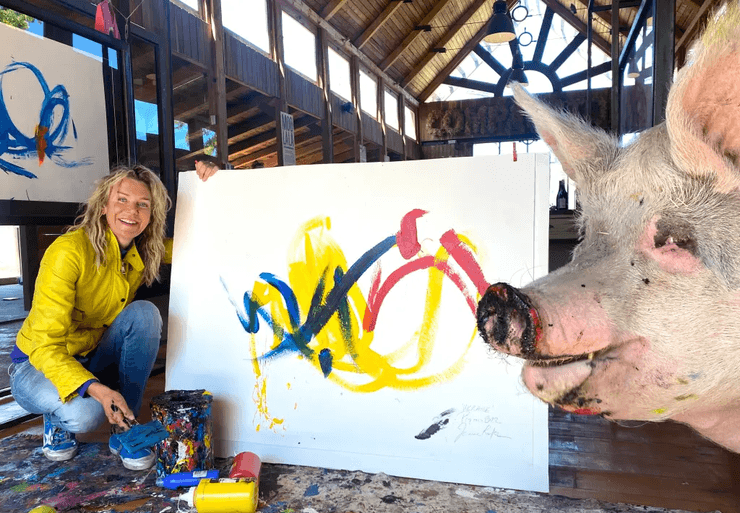 Свинья Пигкассо, свинья-художница, животное, животное рисовало картины, свинья, свиноматка, свинья рисовала картины, заработала миллионы