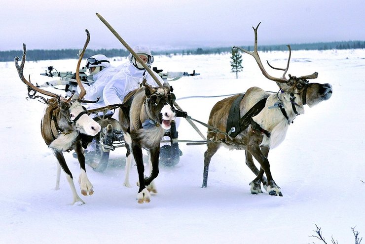 арктика, российские военные
