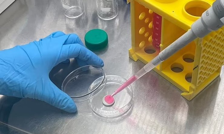 лаборатория говядина