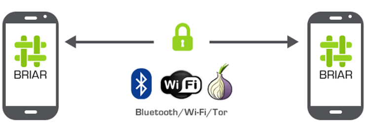 Briar, схема, мобильное приложение