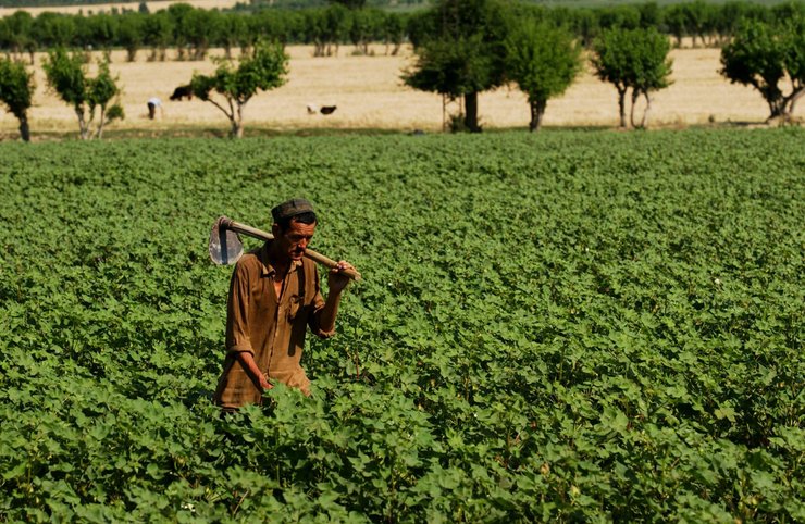 Узбекистан, Ферганская долина, Средняя Азия, Центральная Азия, водные ресурсы