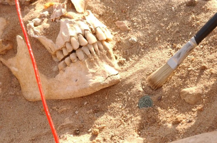 Мікроскопічний ворог: учені з'ясували від чого загинули солдати Наполеона в 1812 році1