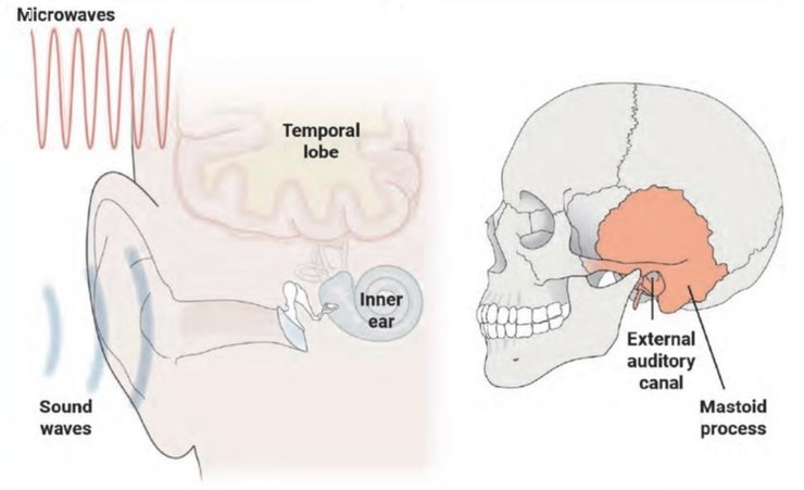 ГРУ РФ, гаванский синдром, агенты ГРУ, Петров Боширов, Аверьянов