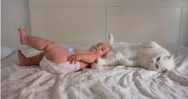 кошка ребенок