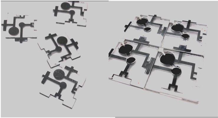 Батарея, бактерии