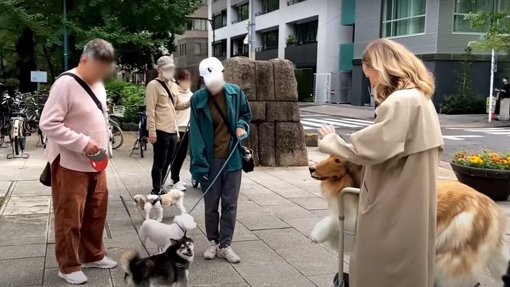 Мужчина-пес, Япония, фетиш, переодевание