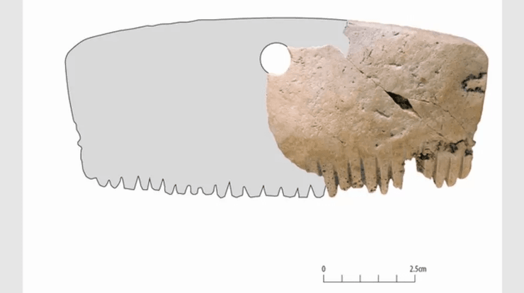 находка, расческа, история, исследование